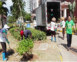 绿化工程和养护